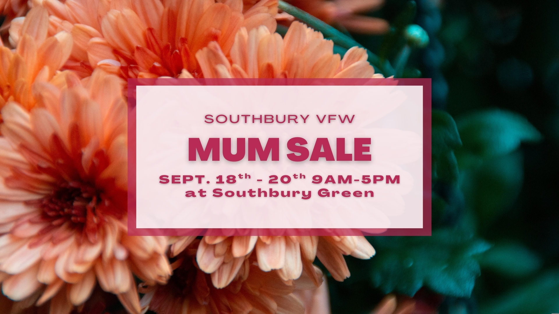 VFW Mum Sale 2025 FB Event Cover VFW Mum Sale