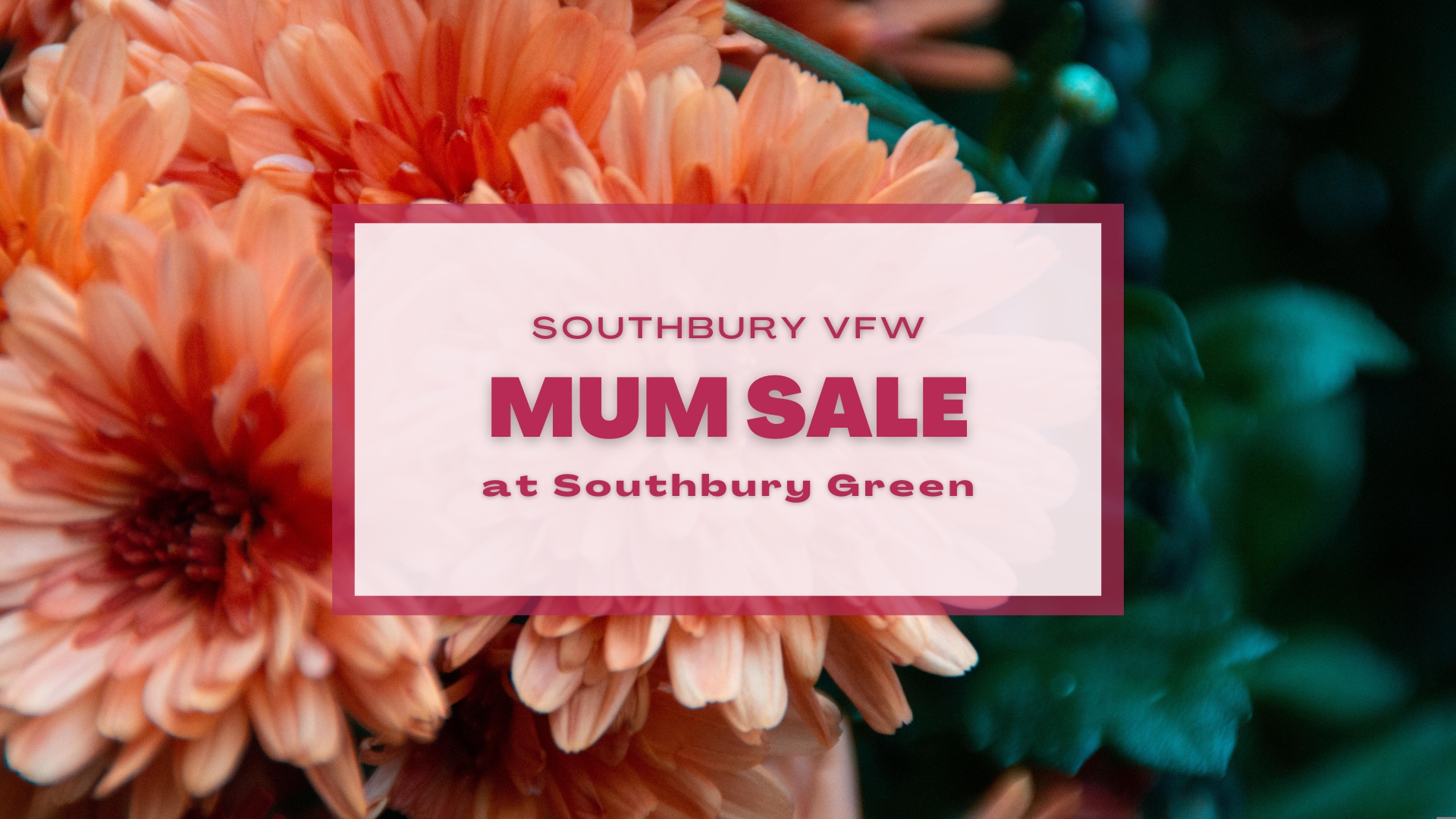 VFW Mum Sale